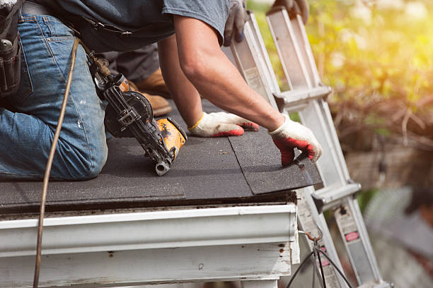Best Emergency Roof Repair  in Cavalier, ND