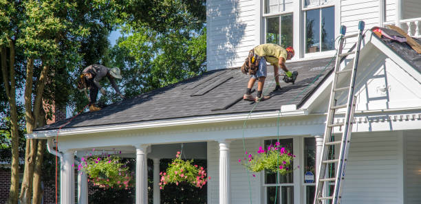 Best Roof Maintenance Services  in Cavalier, ND